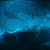 :icondaeron-dr: