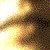 :icondaffodilldreamer: