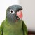 :icondafna14495:
