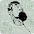 :icondaftizzy: