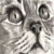 :icondaftun: