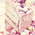:icondafypink:
