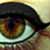 :icondagga-shadow: