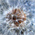 :icondagger-13: