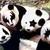 :icondahunnybadger14: