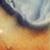:icondai-theflu: