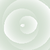 :icondai1313: