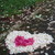 :icondaigunder2139: