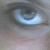 :icondailk-ness: