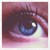 :icondailymasquerade16: