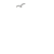 :icondailyprophet: