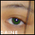 :icondainerose: