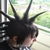 :icondaintygiraffe: