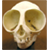 :icondaintyleaf: