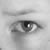 :icondaisune: