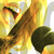 :icondaisy-moo-021: