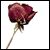 :icondaisyanne: