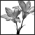 :icondaisychains: