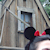 :icondaisygraphy: