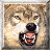 :icondaisynr: