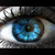 :icondaisyturnover: