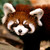 :icondaiyedlily: