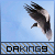 :iconDaking9: