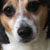 :icondakota-spirit: