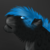 :icondakotalion: