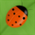 :icondaladybug: