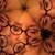 :icondalelynn: