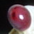 :icondallas-13: