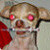 :icondallasruss: