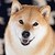 :icondalthedragon: