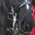 :icondam17140: