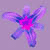 :icondamaris: