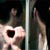 :icondamarisz: