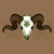 :icondamballaproductions: