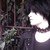 :icondameonlarouge: