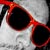 :icondamgalz: