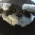 :icondamianboy15: