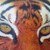 :icondamiensdesignsdotcom: