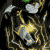 :icondamircomic: