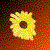 :icondamnal: