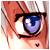 :icondamnburglar: