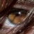 :icondamndelions: