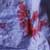 :icondamned-tear: