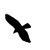 :icondamnxroos: