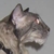 :icondamonjones1969: