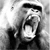 :icondamonk89: